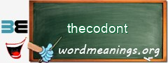 WordMeaning blackboard for thecodont